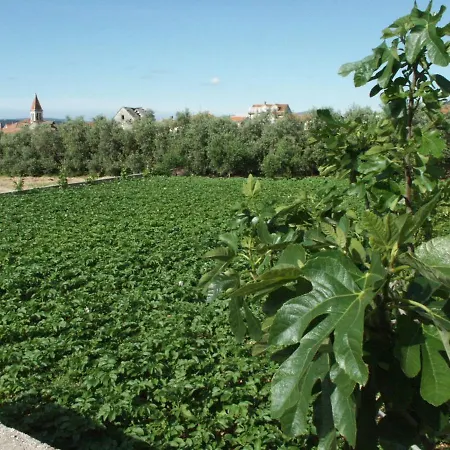 By The Sea Seget Donji, - 2041 *